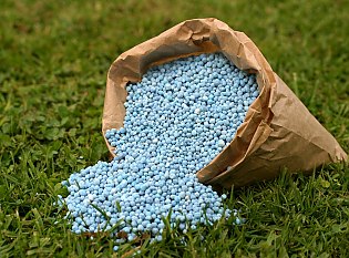 Fertilizer / Soil image